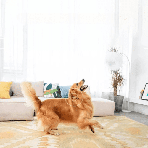 Mini Cam Sicurezza WiFi 1080P – Visione Notturna e Sorveglianza - immagine 5