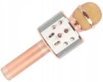Microfono Wireless Bluetooth Karaoke con Altoparlante Integrato