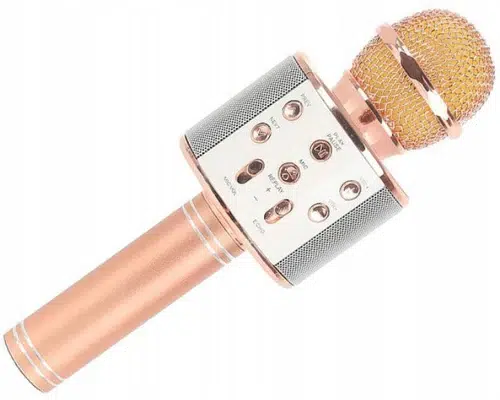 Microfono Wireless Bluetooth Karaoke con Altoparlante Integrato